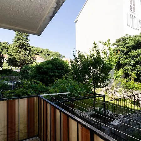 Vintage Dream Peyton