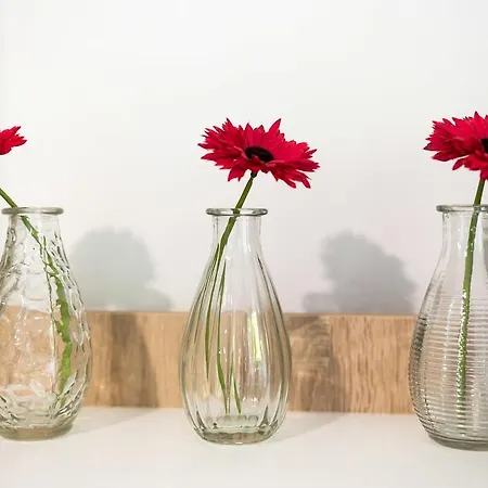 Vintage Dream Peyton Dubrownik