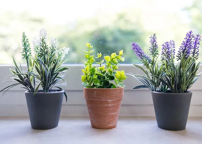 Vintage Dream Peyton Дубровник