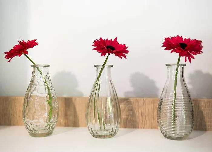 Vintage Dream Peyton ドゥブロブニク