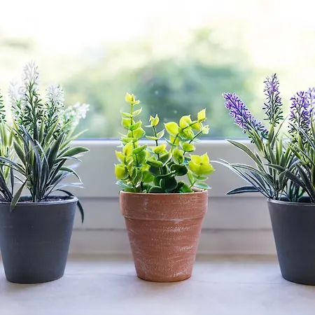 Vintage Dream Peyton Dubrovnik